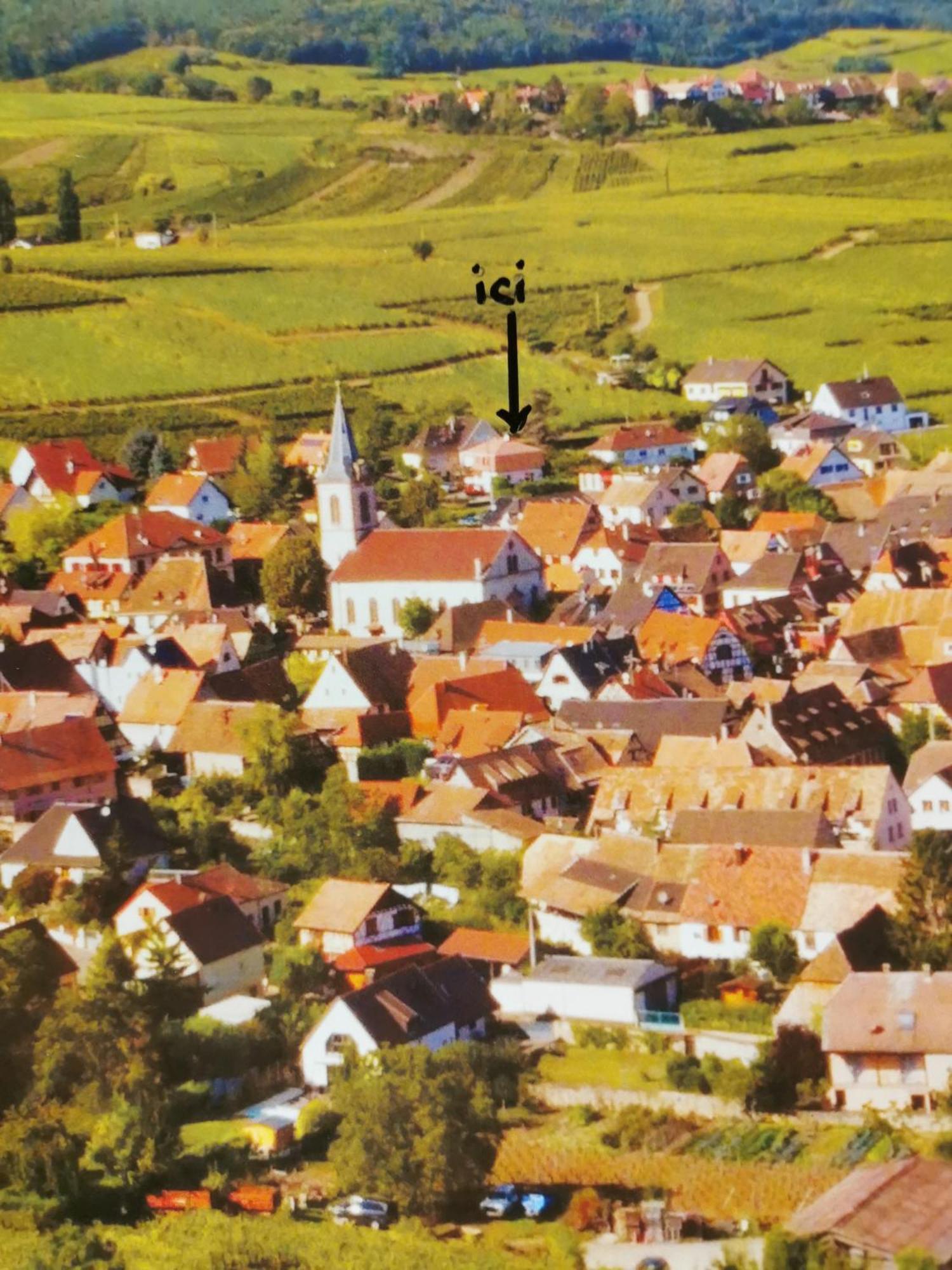 Gites Marschall Jean-Pierre Beblenheim Zewnętrze zdjęcie