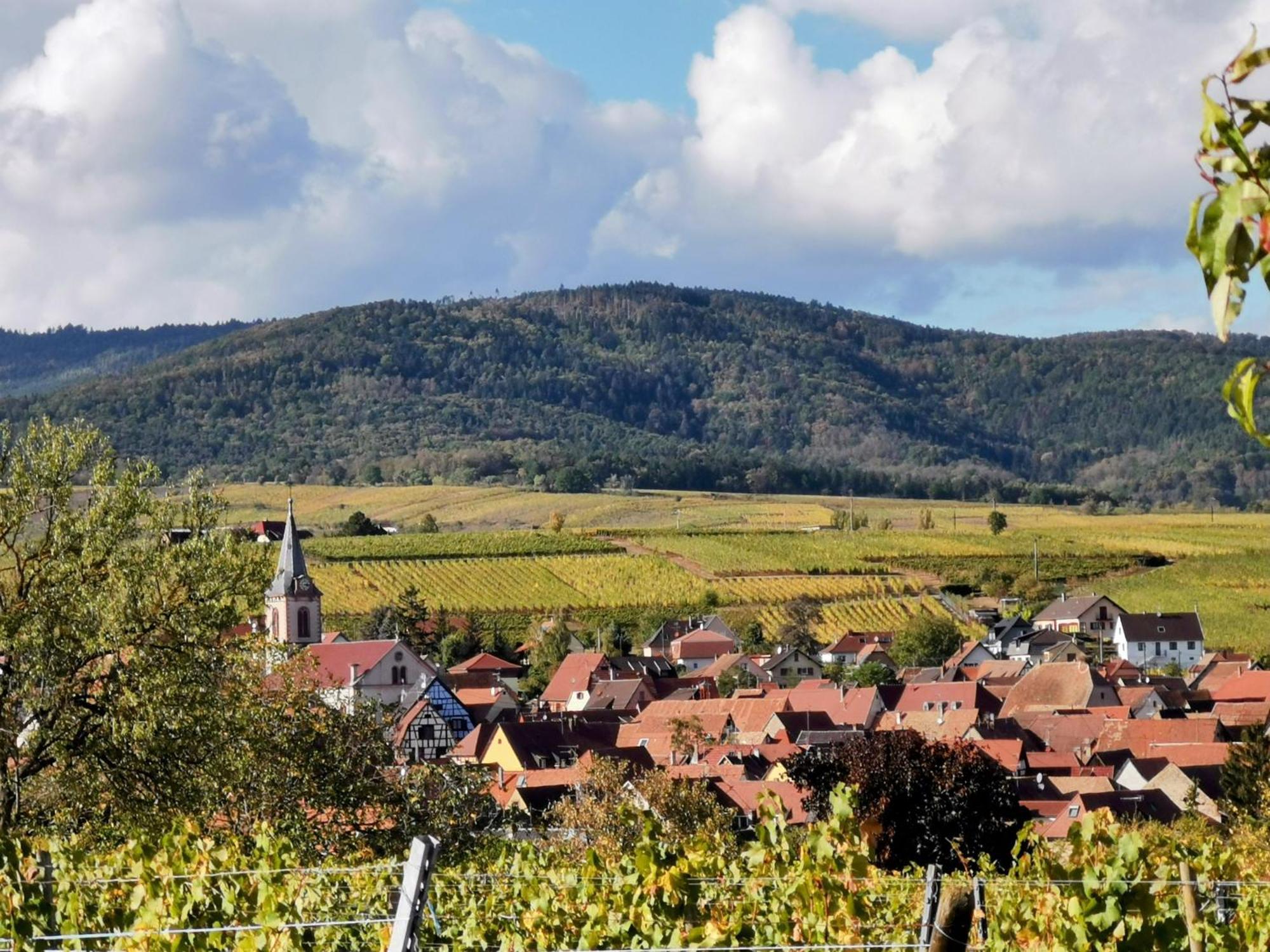 Gites Marschall Jean-Pierre Beblenheim Zewnętrze zdjęcie